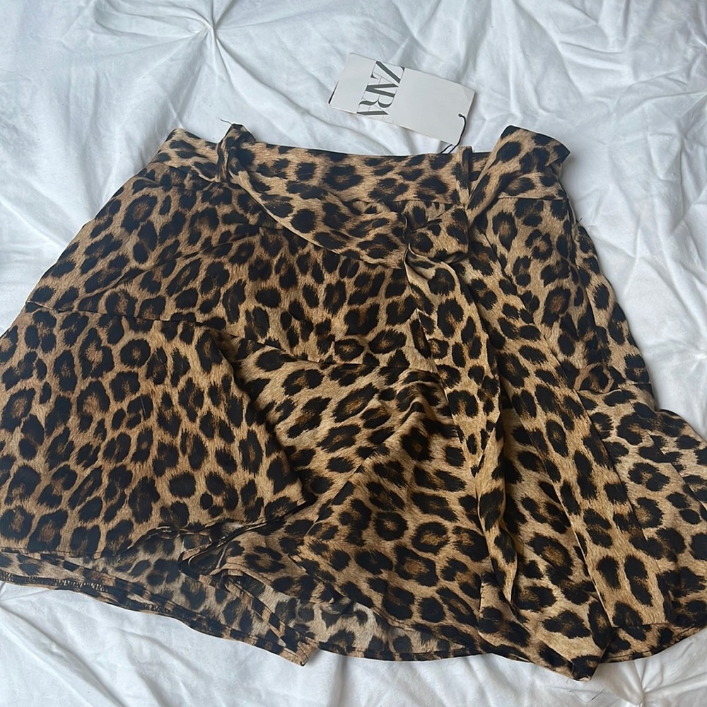Zara skirt